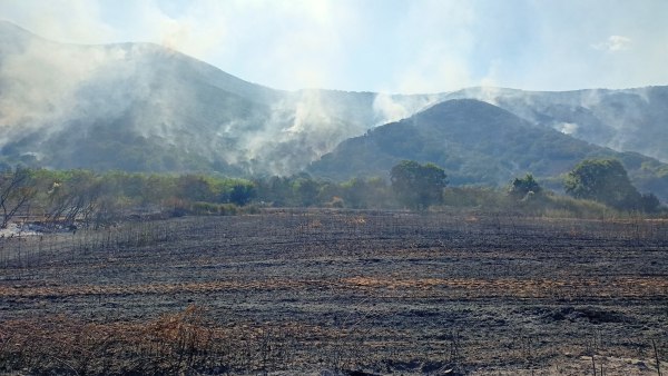 Σε ύφεση η φωτιά στη Φλώρινα – Ενισχύθηκαν οι πυροσβεστικές δυνάμεις