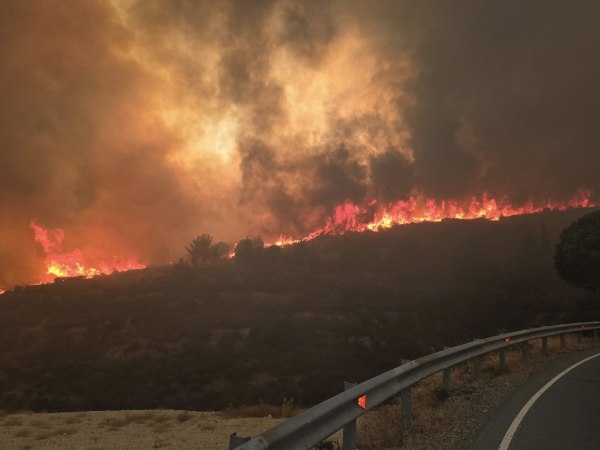 Μεγάλη φωτιά στην Κύπρο: Πύρινη κόλαση στη Λεμεσό