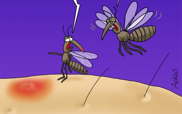 Αρκάς: Η αιμοβόρα καλημέρα της Τρίτης