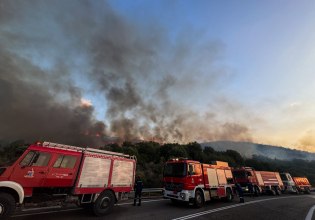 Σέρρες: Φωτιά σε εργοστάσιο ξυλείας