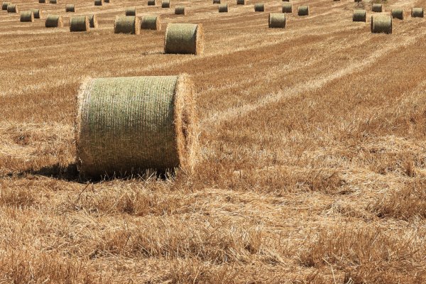 ΚΑΠ: Αλλάζει ο χάρτης των αγροτικών ενισχύσεων – Οι ανατροπές