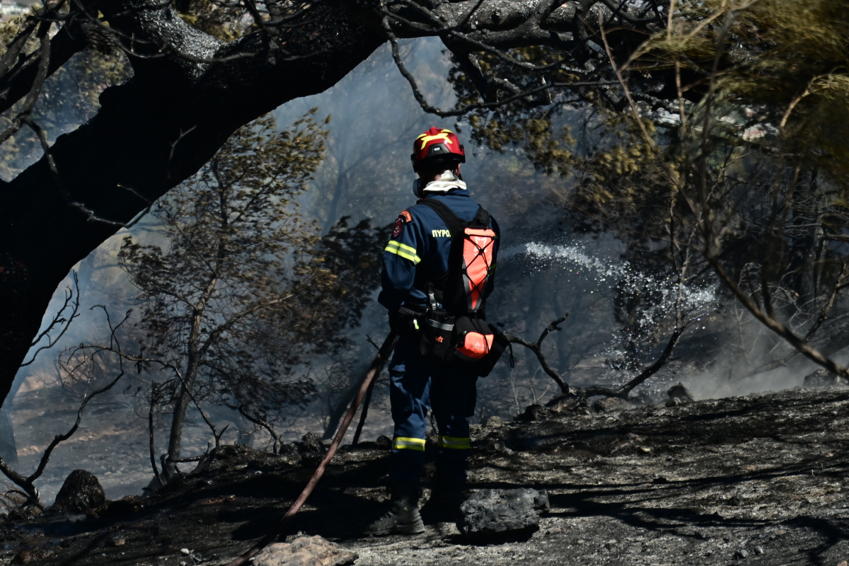 Φωτιά σε δασική έκταση στην Αργολίδα