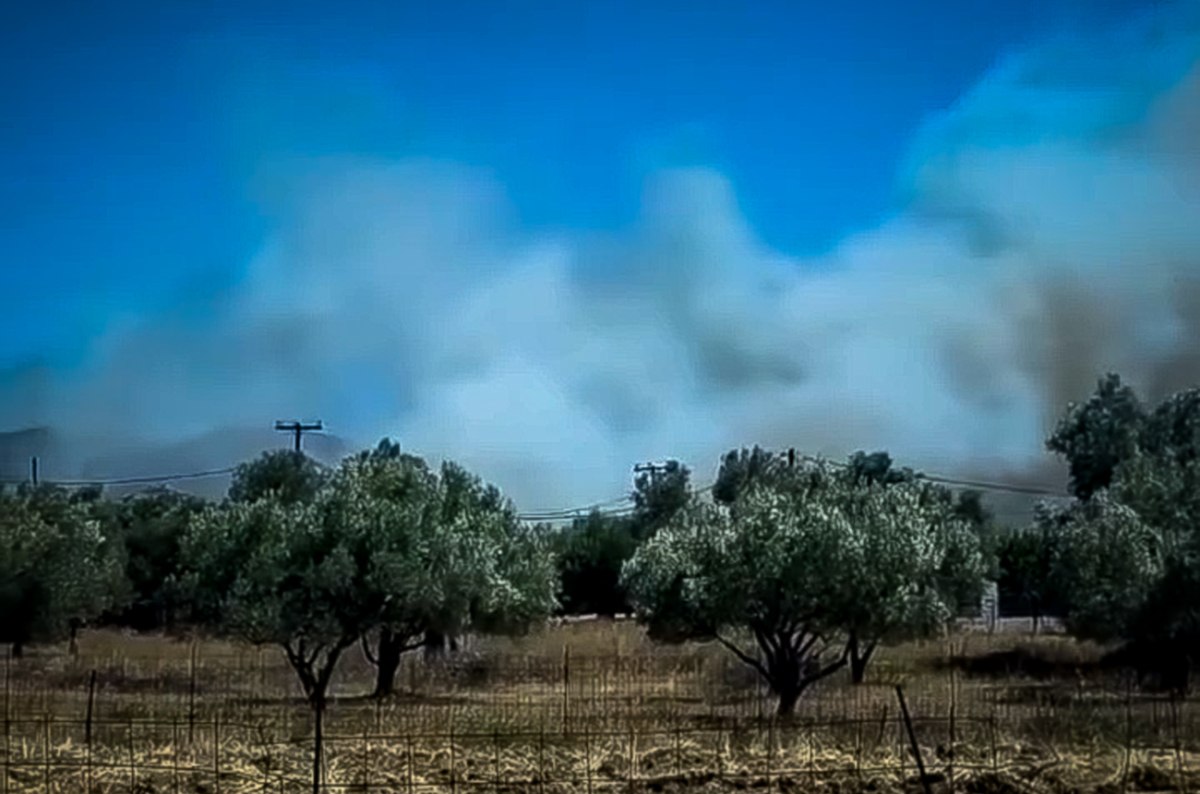 Σπανός στο in: Γλύτωσαν τα σπίτια, είμαστε όμως επιφυλακτικοί