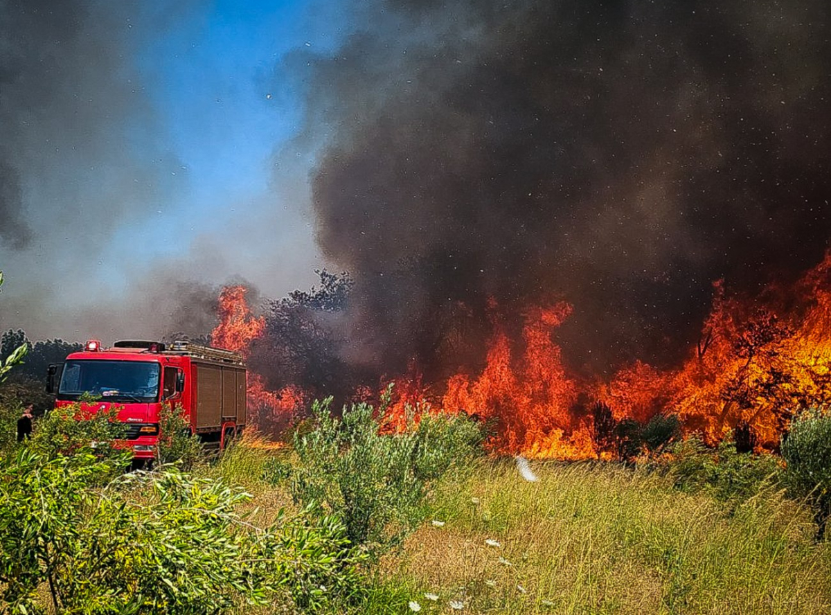 Εύβοια: Υπό έλεγχο η φωτιά στο Αλιβέρι – Μία σύλληψη – Διαδοχικά μηνύματα του 112