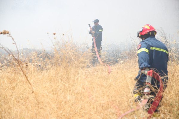 Καύσωνας: Συναγερμός για επιδείνωση των πυρομετεωρολογικών συνθηκών