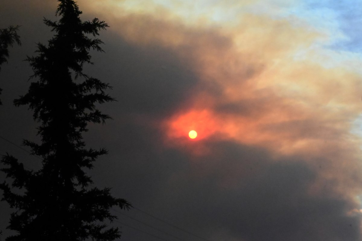Κορινθία: Δύο προσαγωγές για τη φωτιά – Έκαναν εργασίες με τροχό στο δάσος