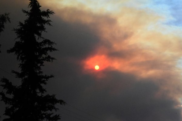 Κορινθία: Δύο προσαγωγές για τη φωτιά – Έκαναν εργασίες με τροχό στο δάσος