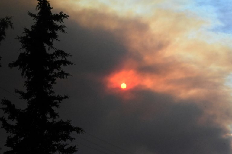 Κορινθία: Δύο προσαγωγές για τη φωτιά – Έκαναν εργασίες με τροχό στο δάσος