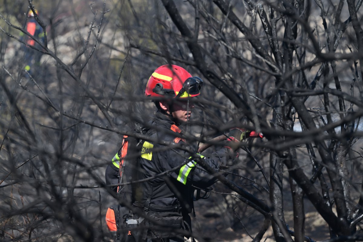 Σχεδόν 42.000 στρέμματα κάηκαν σε Αττική, Εύβοια και Κύθηρα