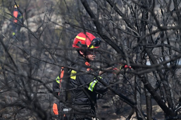 Σχεδόν 42.000 στρέμματα κάηκαν σε Αττική, Εύβοια και Κύθηρα