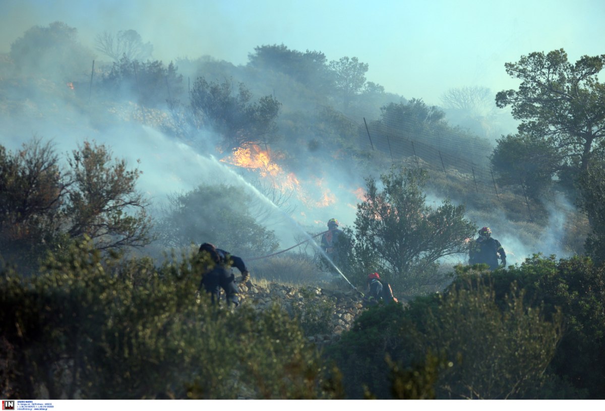 Σε ποιες περιοχές υπάρχει υψηλός κίνδυνος πυρκαγιάς την Παρασκευή – Δείτε χάρτη