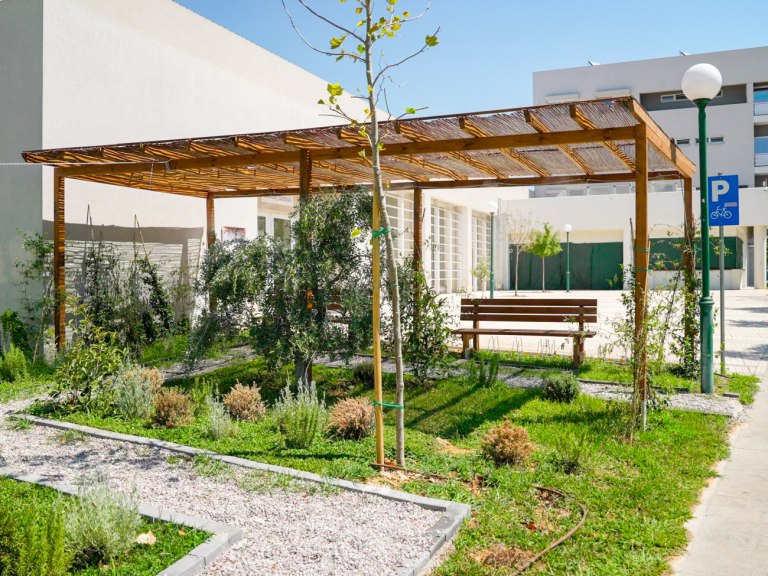 Ένας κήπος βροχής στο κέντρο της Αθήνας