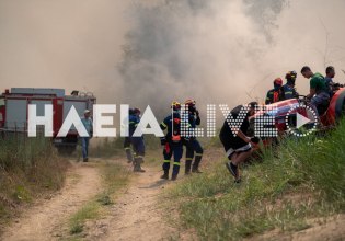 Φωτιά στην Ηλεία: Συνεχίζεται η μάχη με τις φλόγες στο Γεράκι – «Οριοθετήθηκε το πιο επικίνδυνο μέτωπο», λέει αντιπεριφερειάρχης