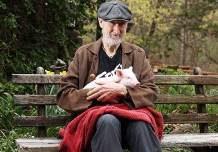 «Έγινα χορτοφάγος τη δεύτερη ημέρα των γυρισμάτων» – Ο Τζέιμς Κρόμγουελ για την ταινία Babe