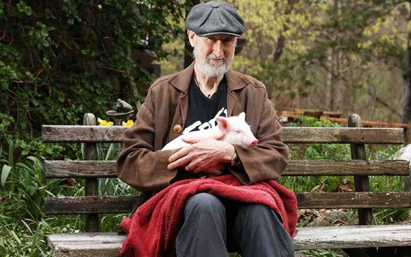 «Έγινα χορτοφάγος τη δεύτερη ημέρα των γυρισμάτων» – Ο Τζέιμς Κρόμγουελ για την ταινία Babe