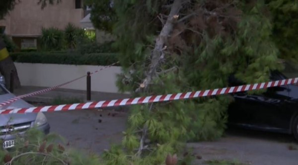Πτώση δέντρου στο Παλαιό Φάληρο – Κλειστό τμήμα της οδού Δημοκρατίας