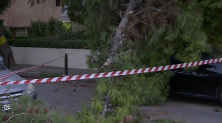 Πτώση δέντρου στο Παλαιό Φάληρο – Κλειστό τμήμα της οδού Δημοκρατίας