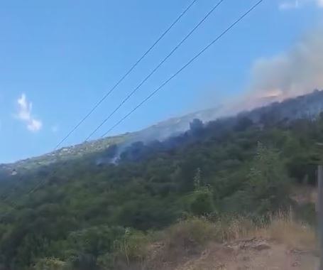 Φωτιά στη Σκάλα Δεσκάτης Γρεβενών