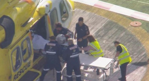 Αυστραλία: Λιοντάρι κατασπάραξε το χέρι γυναίκας σε ζωολογικό κήπο