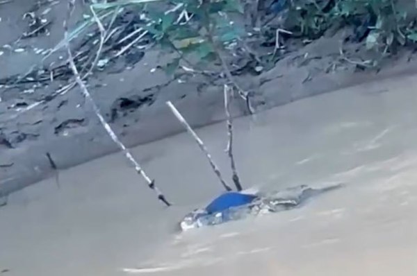 Ινδονησία: Φρικτός θάνατος για 15χρονο αγόρι – Τον άρπαξε κροκόδειλος