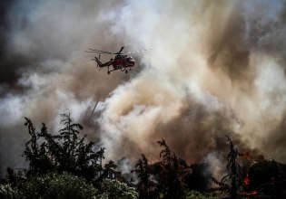Φωτιά στην Αρχαία Ολυμπία – «Τα εναέρια περιόρισαν άμεσα το μέτωπο» λέει ο δήμαρχος στο in