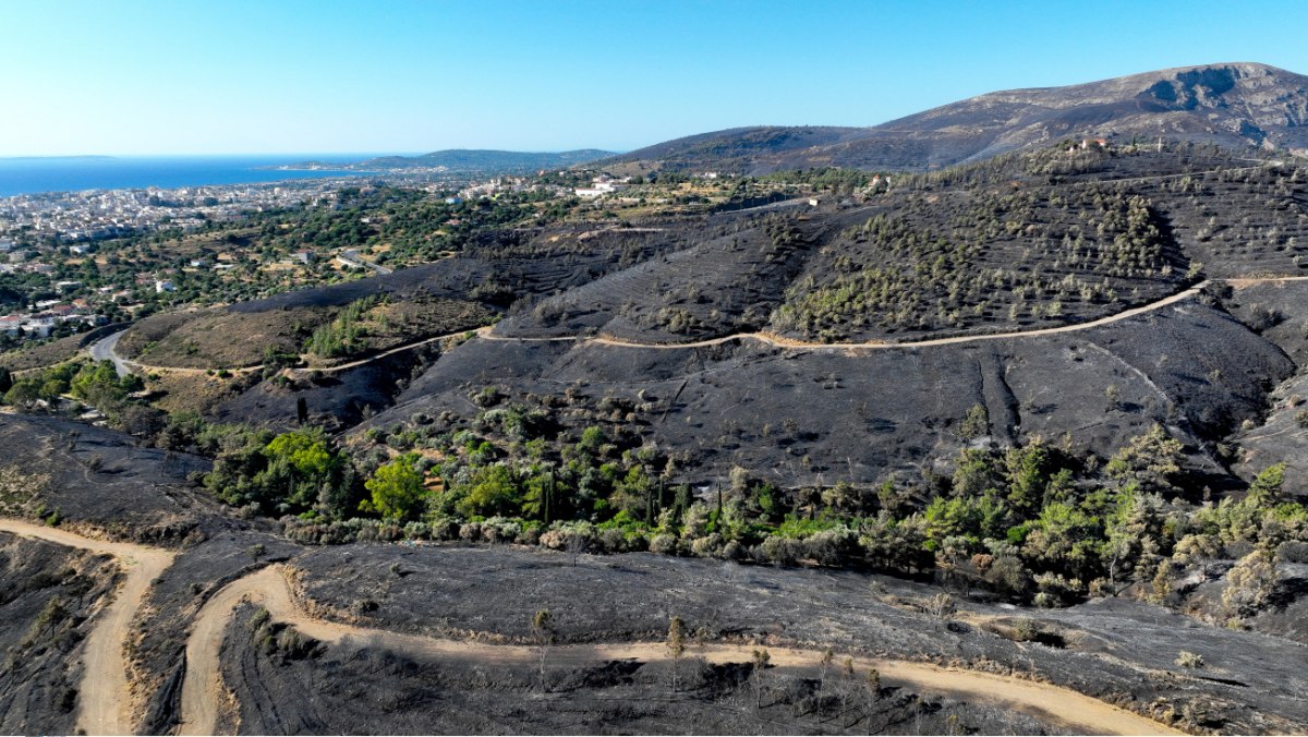 Τέσσερις ημέρες χρειάστηκαν για να τεθεί υπό έλεγχο η μεγάλη πυρκαγιά στη Χίο (InTime)