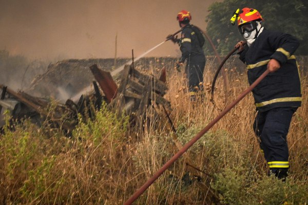 Φωτιά στο Ελληνοχώρι Κορινθίας – Καίει γεωργικές εκτάσεις