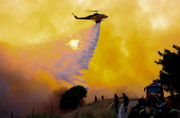 «Μικρές πιθανότητες αναγέννησης» για χιλιάδες στρέμματα στη Χίο – Τι λέει το WWF για τον αντιπυρικό σχεδιασμό