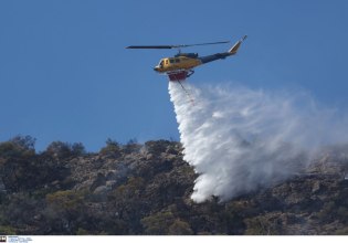 Τρίκαλα: Φωτιά σε δασική έκταση – Σηκώθηκαν και εναέρια μέσα