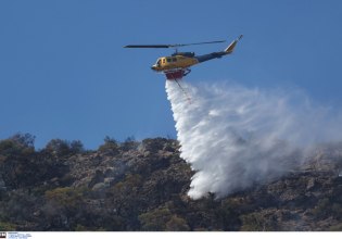 Φωτιά στη Βοιωτία: Μήνυμα του 112 στους κατοίκους της Αλυκής