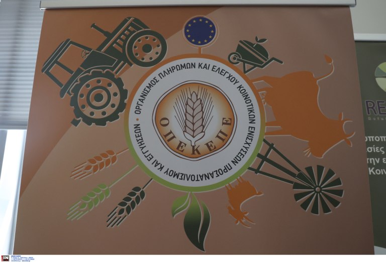 Λιακούλη: Η Εθνική Αρχή Διαφάνειας, ενώ γνώριζε, δεν έκανε απολύτως τίποτα για το σκάνδαλο του ΟΠΕΚΕΠΕ