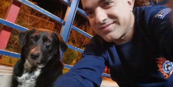 Πύρινη λαίλαπα: Τα ζωάκια παλεύουν να σωθούν – Μνήμες εθελοντή πυροσβέστη