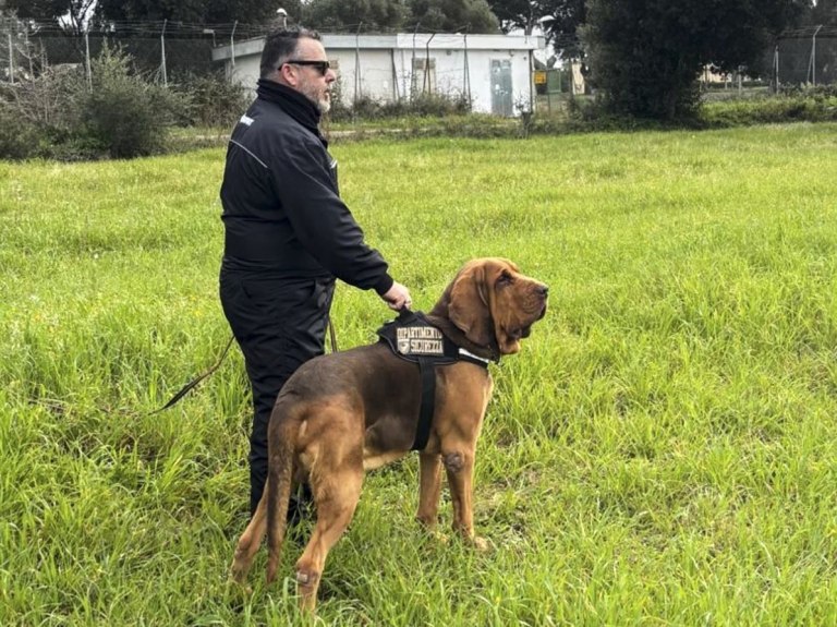 Ιταλία: Σκύλος διάσωσης που εντόπισε 9 άτομα δηλητηριάστηκε από φόλα και ο κόσμος είναι έξαλλος