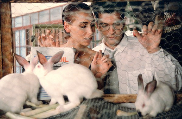 «Γυναίκες στα πρόθυρα νευρικής κρίσης»: Η επανέκδοση της κωμωδίας του Αλμοδοβάρ στα θερινά σινεμά