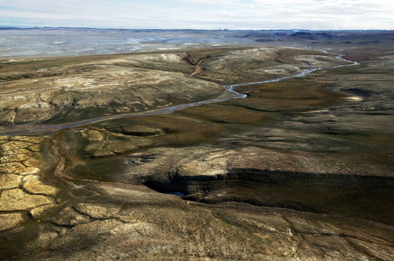 Πρωτεΐνες εκατομμυρίων ετών υπόσχονται επανάσταση στην παλαιοντολογία