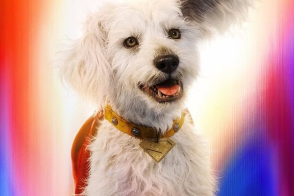 Σούπερμαν γαβ γαβ: Ο σκύλος του υπερήρωα, Krypto, εκτόξευσε τις υιοθεσίες κατά 513%