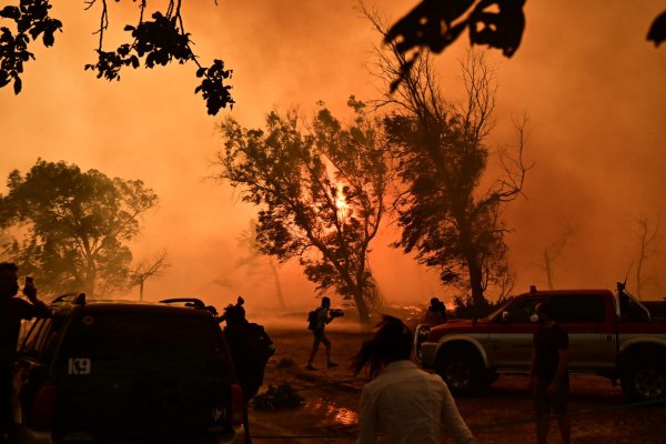 Συναγερμός για υψηλό κίνδυνο πυρκαγιάς σήμερα – 11 Περιφέρειες σε επιφυλακή
