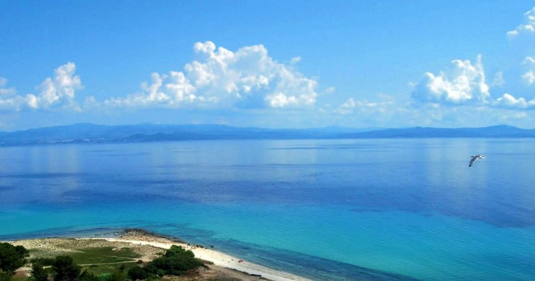 Χαλκιδική: Ξήλωσε μόνος του τις ξαπλώστρες της επιχείρησής του για να γλιτώσει το πρόστιμο