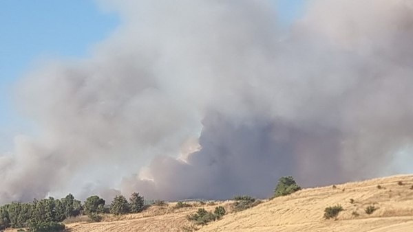 Φωτιά στην Άσσηρο Θεσσαλονίκης