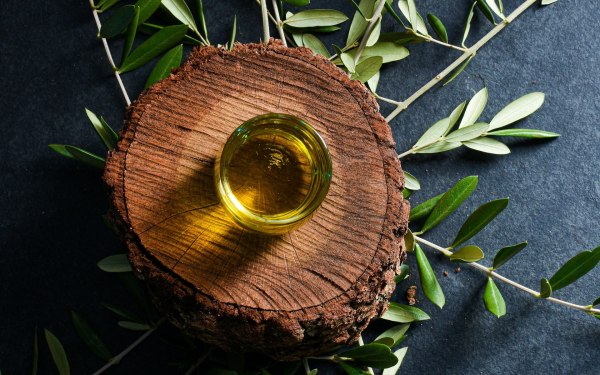 Οι θεραπευτικές του ιδιότητες πίσω από το ελαιόλαδο