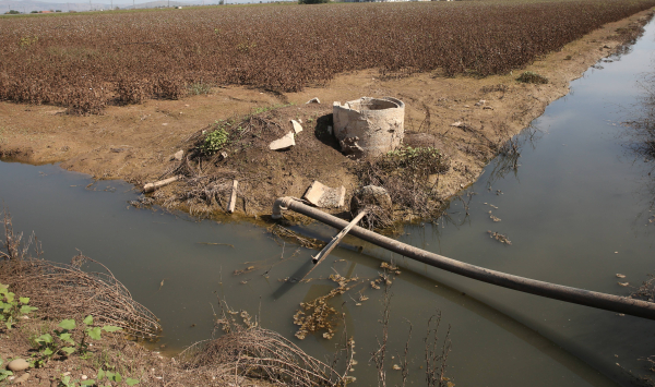 Θέμα αποζημιώσεων με αφορμή τις πλημμύρες του Daniel – «Βοούσε ο κάμπος…» λέει «γαλάζιος» βουλευτής