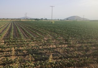 SOS για την κλιματική αλλαγή – «Περιοχές σαν τη Θεσσαλία, κινδυνεύουν με ερημοποίηση»