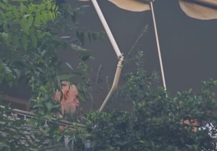 Πέτρος Φιλιππίδης: Σε άσχημη ψυχολογική κατάσταση ο ηθοποιός μετά τη φωτιά στο σπίτι του – Τι λέει ο δικηγόρος του