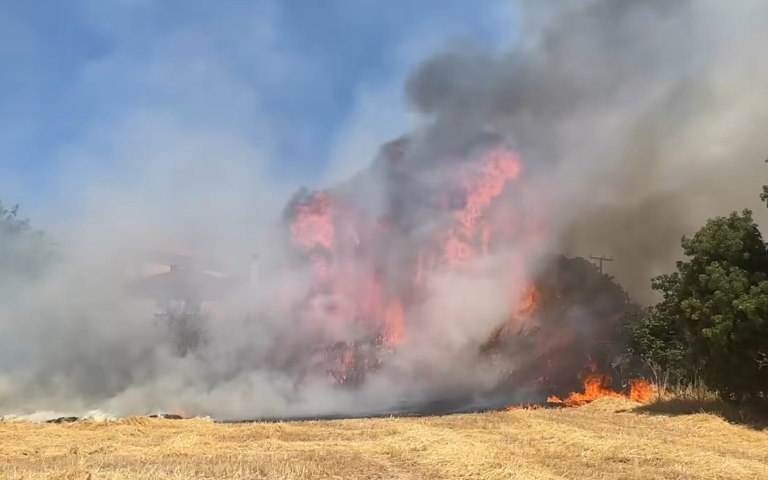 Λέσβος: Δύο φωτιές μέσα σε λίγη ώρα – Επιχειρούν και εναέρια μέσα