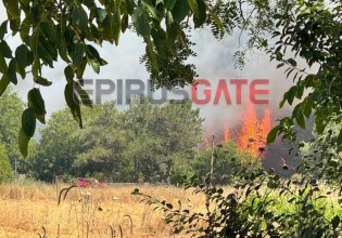 Φωτιά στην Πεδινή Ιωαννίνων – Κινητοποιήθηκαν τέσσερα εναέρια