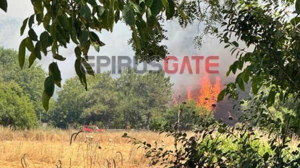 Φωτιά στην Πεδινή Ιωαννίνων – Κινητοποιήθηκαν τέσσερα εναέρια