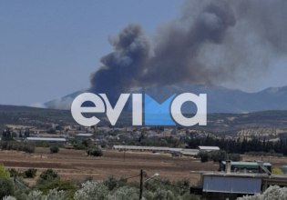 Φωτιά σε εξέλιξη σε δασική περιοχή στην Εύβοια (βίντεο)