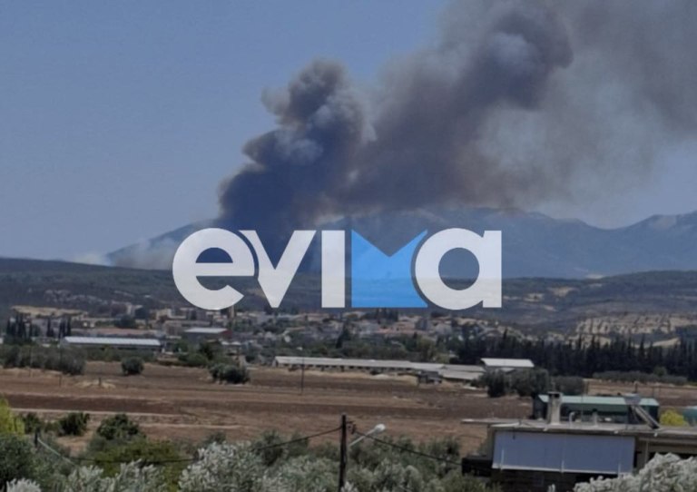 Φωτιά σε εξέλιξη σε δασική περιοχή στην Εύβοια (βίντεο)