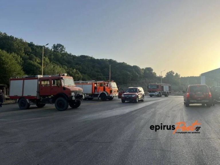 Σε ύφεση η φωτιά στην Κακαβιά, ελέγχθηκε η αναζωπύρωση στον Φενεό