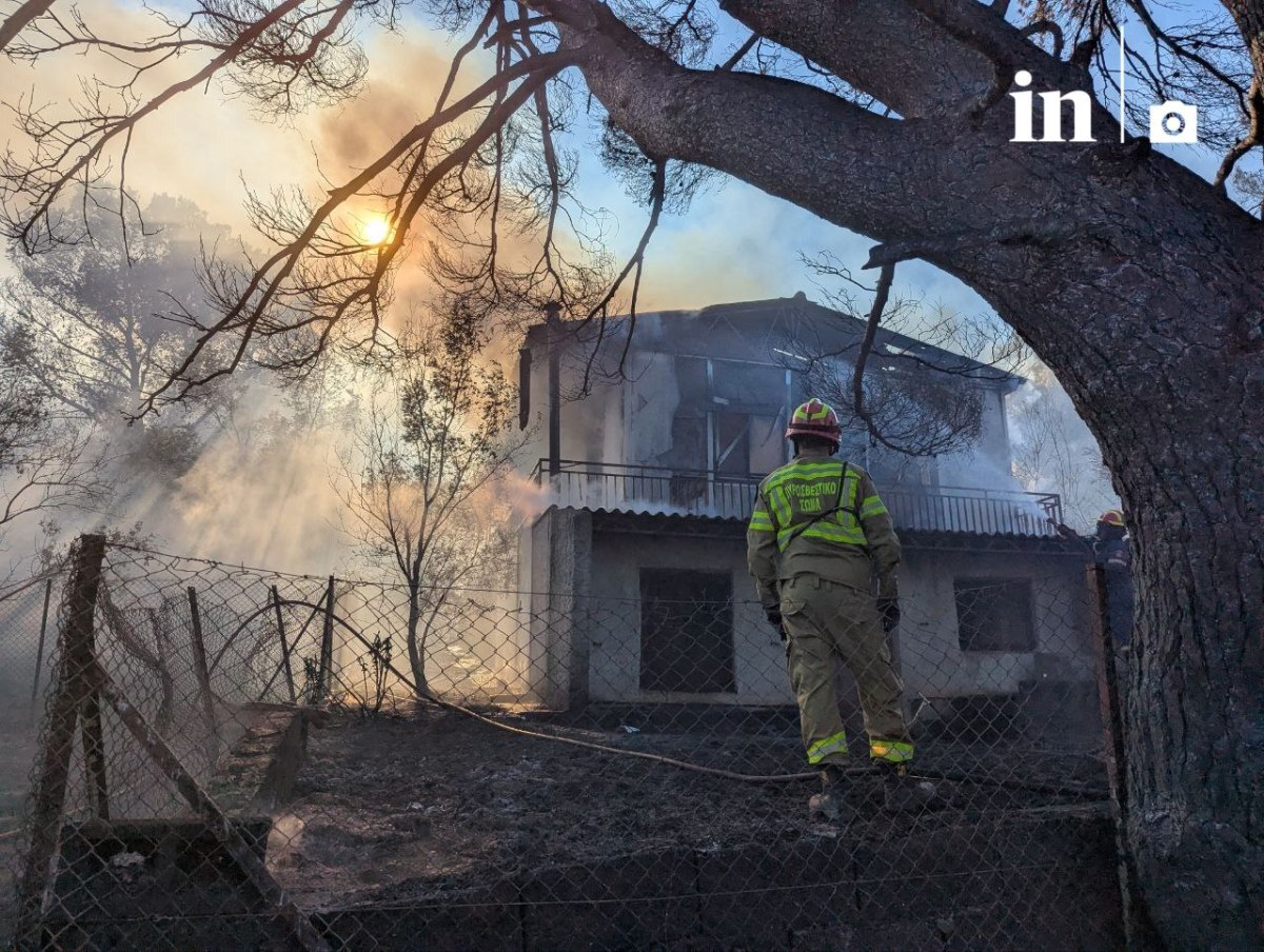 Φωτιά: Μάχη με διάσπαρτες εστίες σε Ανατολική Αττική και Ιεράπετρα – Αποκαρδιωτική εικόνα στις καμένες περιοχές